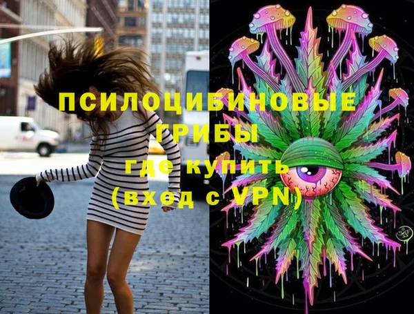 твердый Аркадак