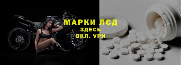 твердый Аркадак