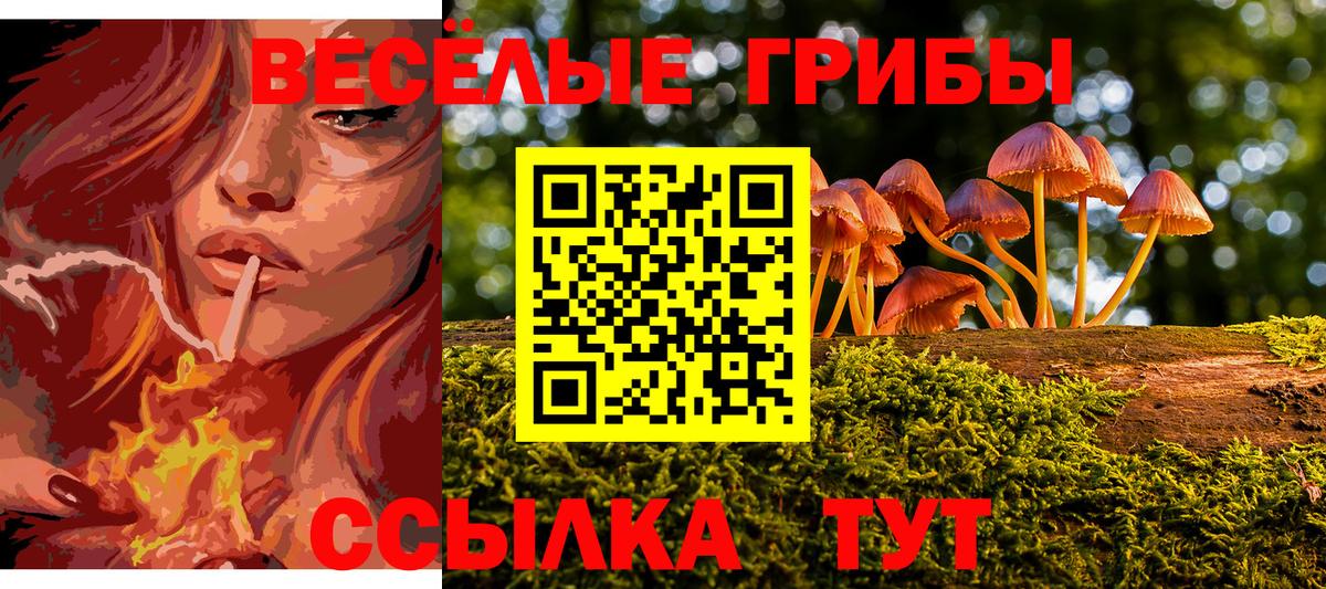 Псилоцибиновые грибы Magic Shrooms Верхний Уфалей