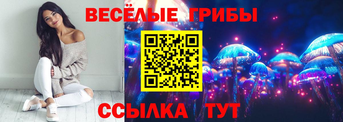 Галлюциногенные грибы Psilocybe  Галлюциногенные грибы ЛСД  Верхний Уфалей 